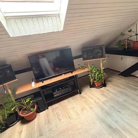 The Vibe Spot *